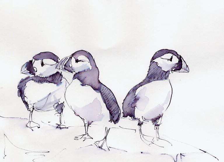 Puffin Impressions